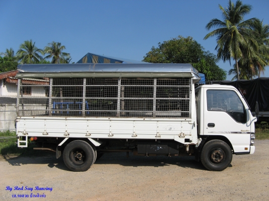 ขาย 6 ล้อ อีซูซุ NKR 130 แรง ยาว 5  ม. ปี 2006 สภาพเดิม ๆ สวยจัดกว่า 90\% เครื่องแน่น คัสซีสวยกิ๊ป สนใจชมรถก่อนได้ครับ