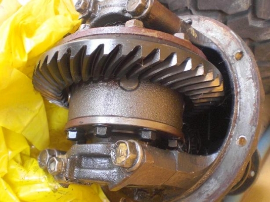 เฟืองท้ายคาริเบียน