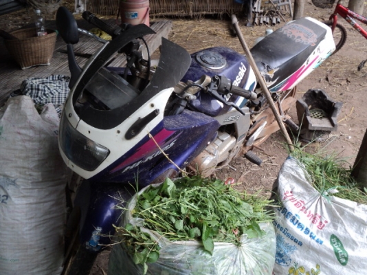 ขาย KawasaKi  เซอร์บีโก้กล่องเล็ก 5000 บาท