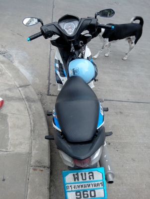 ขายhondaczi 110 ล้อแม็ก 12900