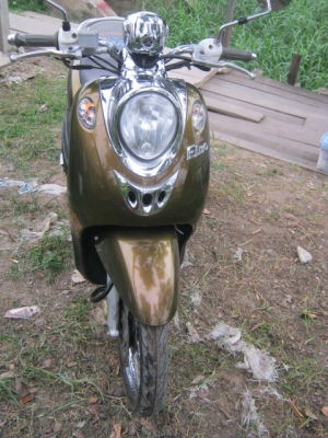 ขาย yamaha fino classic ขาย yamaha fino classic