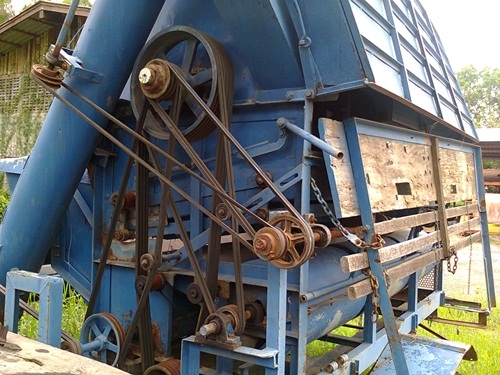 ไทยเส็งยนต์  ตู้นวด รุ่นข้าวถั่ว 8ฟุต