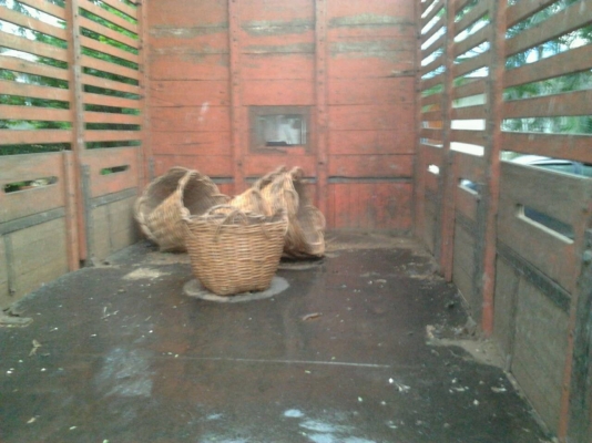 ISUZU NPR 115 HP 4BD1 ปี 38 กระบะคอกไม้ความยาว 4.30 เมตรสภาพสวย เครื่องแห้งแรงดีไม่มีเยิ้ม หัวเก๋งสีบางเดิมๆภายในเก๋งคอนโซลครบพร้อม เกียร์สั้น ช่วงล่างใหญ่คัชซีสวยเดิมๆ ยาง 8.25 ขอบ 16 สภาพดี 70\% พร้อมใช้งานได้เลย เอกสารทะเบียนภาษีครบพร้อมโอน ราคาต่อรองได ISUZU NPR 115 HP 4BD1 ปี 38 กระบะคอกไม้ความยาว 4.30 เมตรสภาพสวย เครื่องแห้งแรงดีไม่มีเยิ้ม หัวเก๋งสีบางเดิมๆภายในเก๋งคอนโซลครบพร้อม เกียร์สั้น ช่วงล่างใหญ่คัชซีสวยเดิมๆ ยาง 8.25 ขอบ 16 สภาพดี 70\% พร้อมใช้งานได้เลย เอกสารทะเบียนภาษีครบพร้อมโอน ราคาต่อรองได