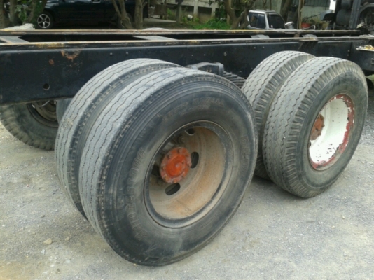 ขายไอ้หลงหัว-คัทซีMMTF528CTC***** ขายไอ้หลงหัว-คัทซีMMTF528CTC*****