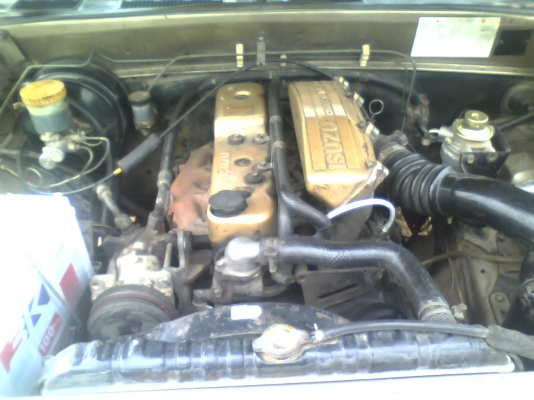 ขายอีชูชุมังกรทองแค๊บ