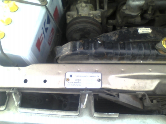 ขายอีชูชุมังกรทองแค๊บ