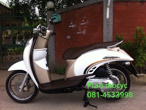 ขาย  scoopy-i สีขาวน้ำตาล ปี2553