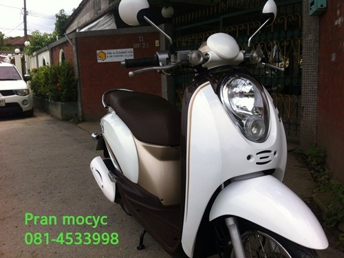 ขาย scoopy-i สีขาวน้ำตาล ปี2553 ขาย scoopy-i สีขาวน้ำตาล ปี2553