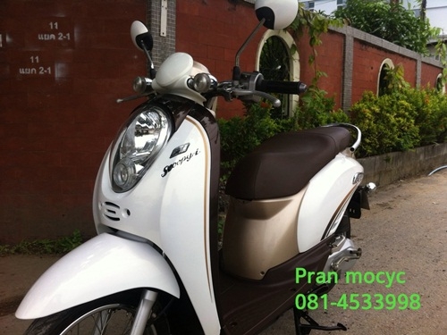 ขาย scoopy-i สีขาวน้ำตาล ปี2553 ขาย scoopy-i สีขาวน้ำตาล ปี2553