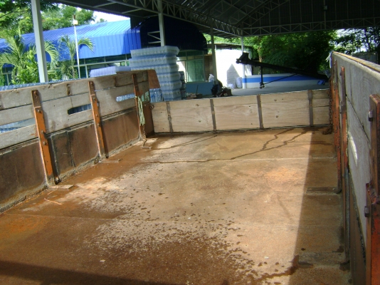 ขายรถ 6ล้อ NPR 115 แรง รถห้างแท้ เครื่องดี คัชชีต้องไปเก็บบ้าง หัวรอบนอกบางเดิม ขายตัดไปเลยครับ สภาพตามรูปเลย