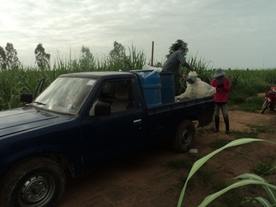 ขายรถกะบะSD23ขายตามสภาพครับยังใช้งานได้จริงๆมีทะเบียนพร้อม ขายรถกะบะSD23ขายตามสภาพครับยังใช้งานได้จริงๆมีทะเบียนพร้อม