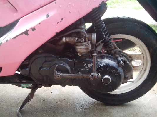 ขายป็อปน้อย ขายป็อปน้อย