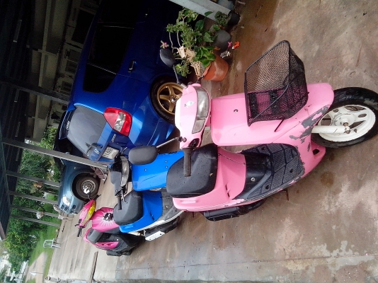 ขายป็อปน้อย ขายป็อปน้อย