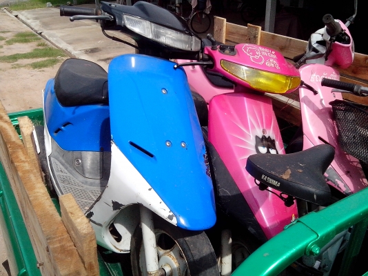 ขายป๊อปน้อยสวยๆ 3500 เท่านั้นครับ