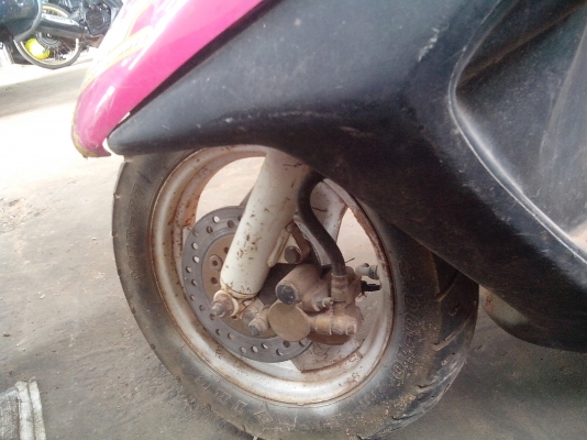 ขายป็อปน้อย ตัวนี้ดิสหน้า 4000 บาท