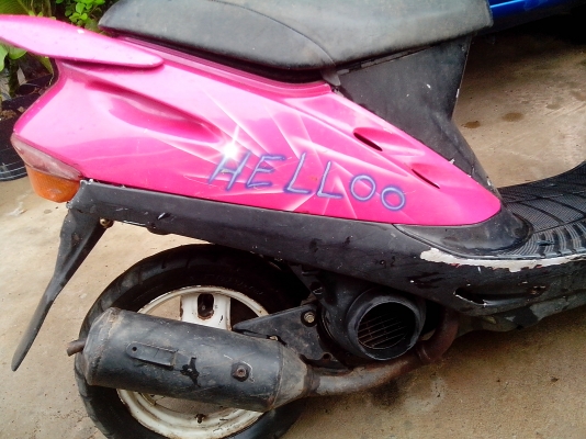 ขายป็อปน้อย ตัวนี้ดิสหน้า 4000 บาท