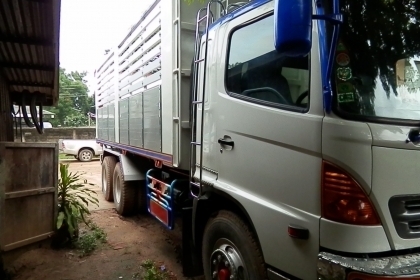 10ล้อดั้ม HINO MEGA 260 ปี48 ดั้มมิเนียมคอกเกษตร (ใหม่)