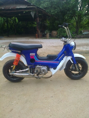 ชาลี 11000 กำแพงเพชร