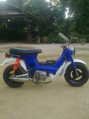 ชาลี 11000 กำแพงเพชร