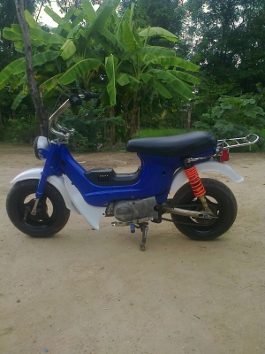 ชาลี 11000 กำแพงเพชร