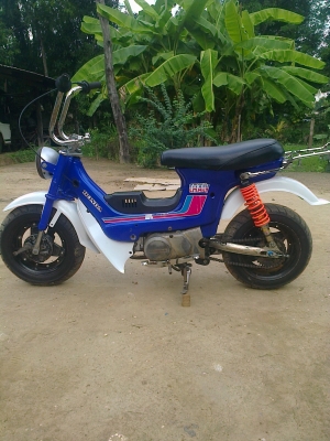 ชาลี 11000 กำแพงเพชร