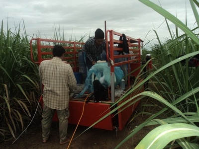 ขายรถบรรทุกเล็กมีทะเบียนคุมใช้ในงานทั่วไป(ส่งฟรีครับจะได้ไปเที่ยวด้วย) ขายรถบรรทุกเล็กมีทะเบียนคุมใช้ในงานทั่วไป(ส่งฟรีครับจะได้ไปเที่ยวด้วย)