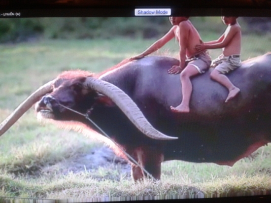 รถ10ล้อ DECA 320 ปี50