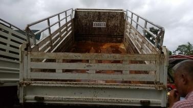 รถอีซูซุ 6 ล้อดั้ม FRR 190 แรงม้า ปี 55  ( รถวิ่ง 19,xxx กม. )  สนใจติดต่อ 081 - 6079515