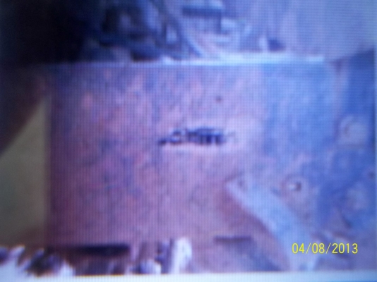 ขาย6ดั้มพร้อมใช้  FB122   เครื่อง WO4D   117 แรง