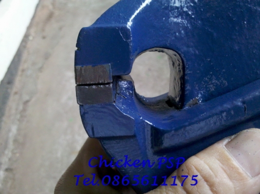 ฝากรูปปากกา RECORD No.00 ให้สมาชิกท่านนึงครับผม