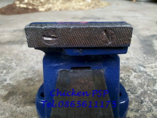 ฝากรูปปากกา RECORD No.00 ให้สมาชิกท่านนึงครับผม