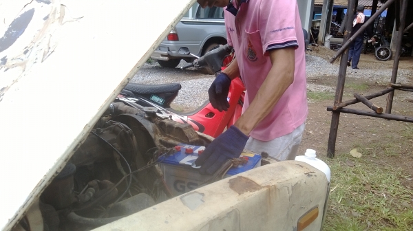 ม้าย่อง :ของคุณ ต่อศักดิ์ ฝากขาย 49000 บาท