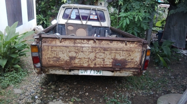 ม้าย่อง :ของคุณ ต่อศักดิ์ ฝากขาย 49000 บาท