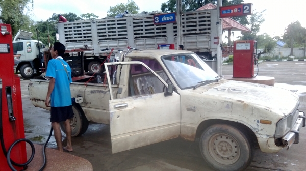 ม้าย่อง :ของคุณ ต่อศักดิ์ ฝากขาย 49000 บาท