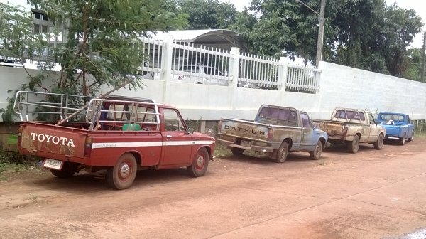 ม้าย่อง :ของคุณ ต่อศักดิ์ ฝากขาย 49000 บาท