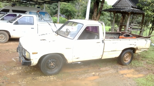 ม้าย่อง :ของคุณ ต่อศักดิ์ ฝากขาย 49000 บาท