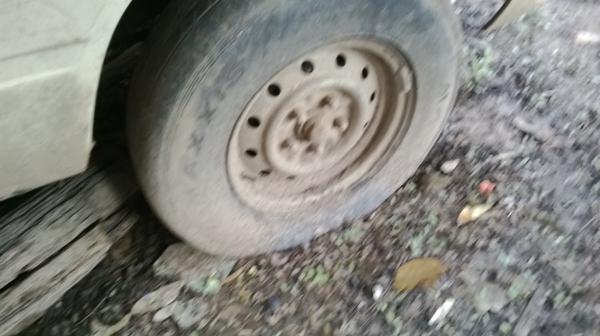 ม้าย่อง :ของคุณ ต่อศักดิ์ ฝากขาย 49000 บาท