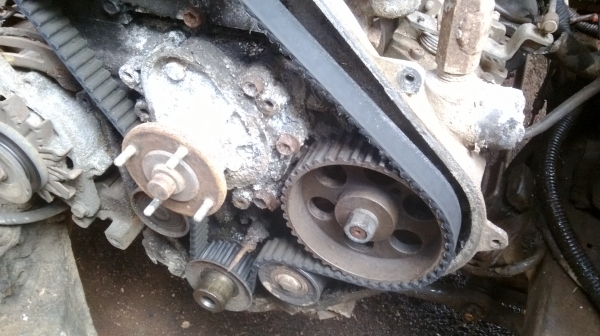 ม้าย่อง :ของคุณ ต่อศักดิ์ ฝากขาย 49000 บาท