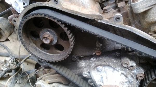 ม้าย่อง :ของคุณ ต่อศักดิ์ ฝากขาย 49000 บาท