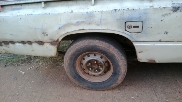 ม้าย่อง :ของคุณ ต่อศักดิ์ ฝากขาย 49000 บาท