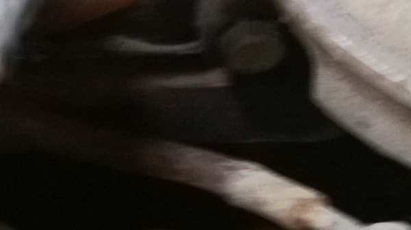 ม้าย่อง :ของคุณ ต่อศักดิ์ ฝากขาย 49000 บาท