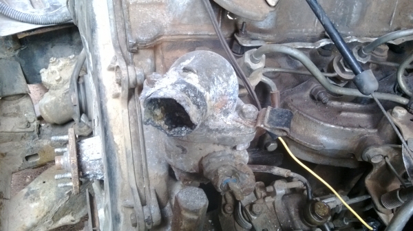 ม้าย่อง :ของคุณ ต่อศักดิ์ ฝากขาย 49000 บาท