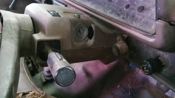 ม้าย่อง :ของคุณ ต่อศักดิ์ ฝากขาย 49000 บาท