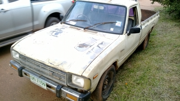 ม้าย่อง :ของคุณ ต่อศักดิ์ ฝากขาย 49000 บาท