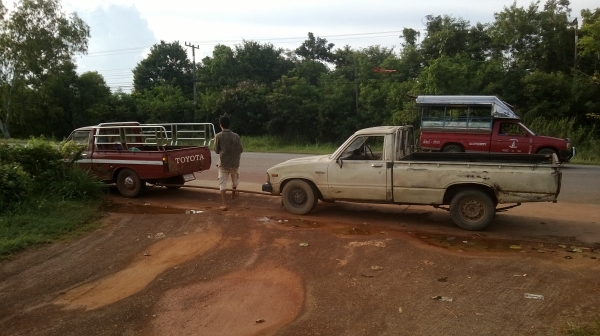 ม้าย่อง :ของคุณ ต่อศักดิ์ ฝากขาย 49000 บาท