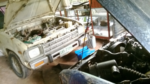 ม้าย่อง :ของคุณ ต่อศักดิ์ ฝากขาย 49000 บาท