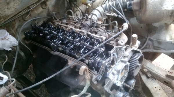 ม้าย่อง :ของคุณ ต่อศักดิ์ ฝากขาย 49000 บาท