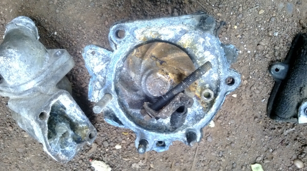 ม้าย่อง :ของคุณ ต่อศักดิ์ ฝากขาย 49000 บาท