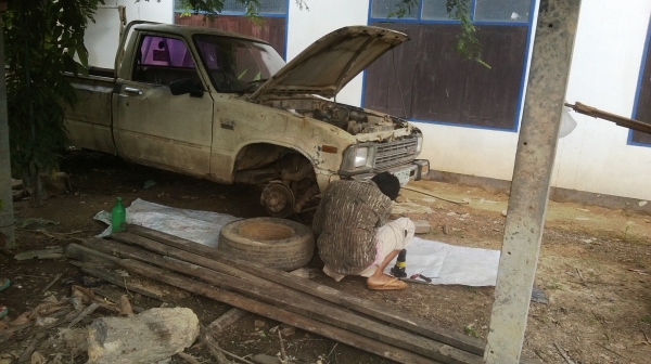 ม้าย่อง :ของคุณ ต่อศักดิ์ ฝากขาย 49000 บาท