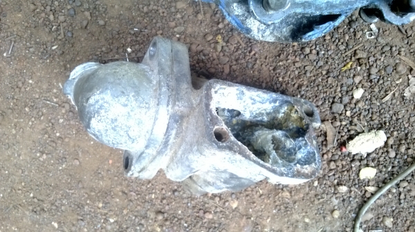 ม้าย่อง :ของคุณ ต่อศักดิ์ ฝากขาย 49000 บาท